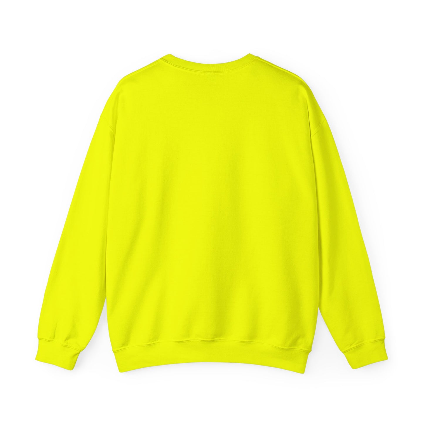 Vote 2024 Crewneck Sweater | Reproductive Rights, BLM, Banned Books, Activism, Decision 2024 Viral | 4 Colors - seen on celebs