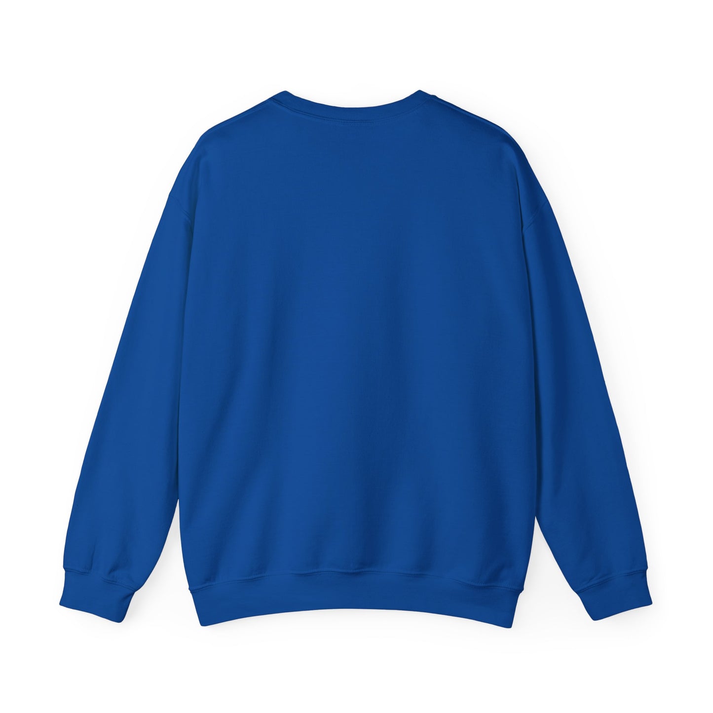 Vote 2024 Crewneck Sweater | Reproductive Rights, BLM, Banned Books, Activism, Decision 2024 Viral | 4 Colors - seen on celebs