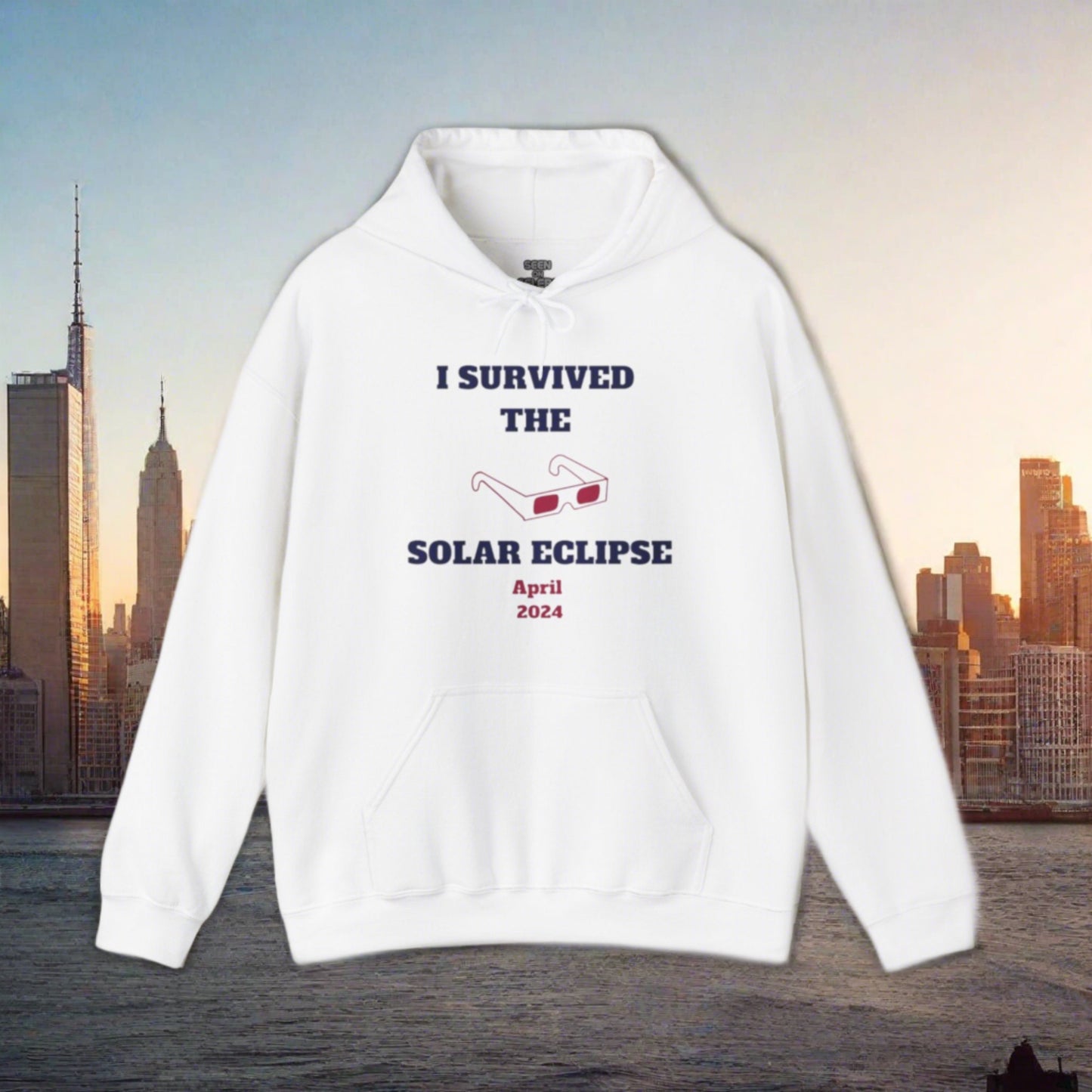 I SURVIVED THE SOLAR ECLIPSE 2024 HOODIE | 4 Colors | Heavy Cotton Quality - seen on celebs