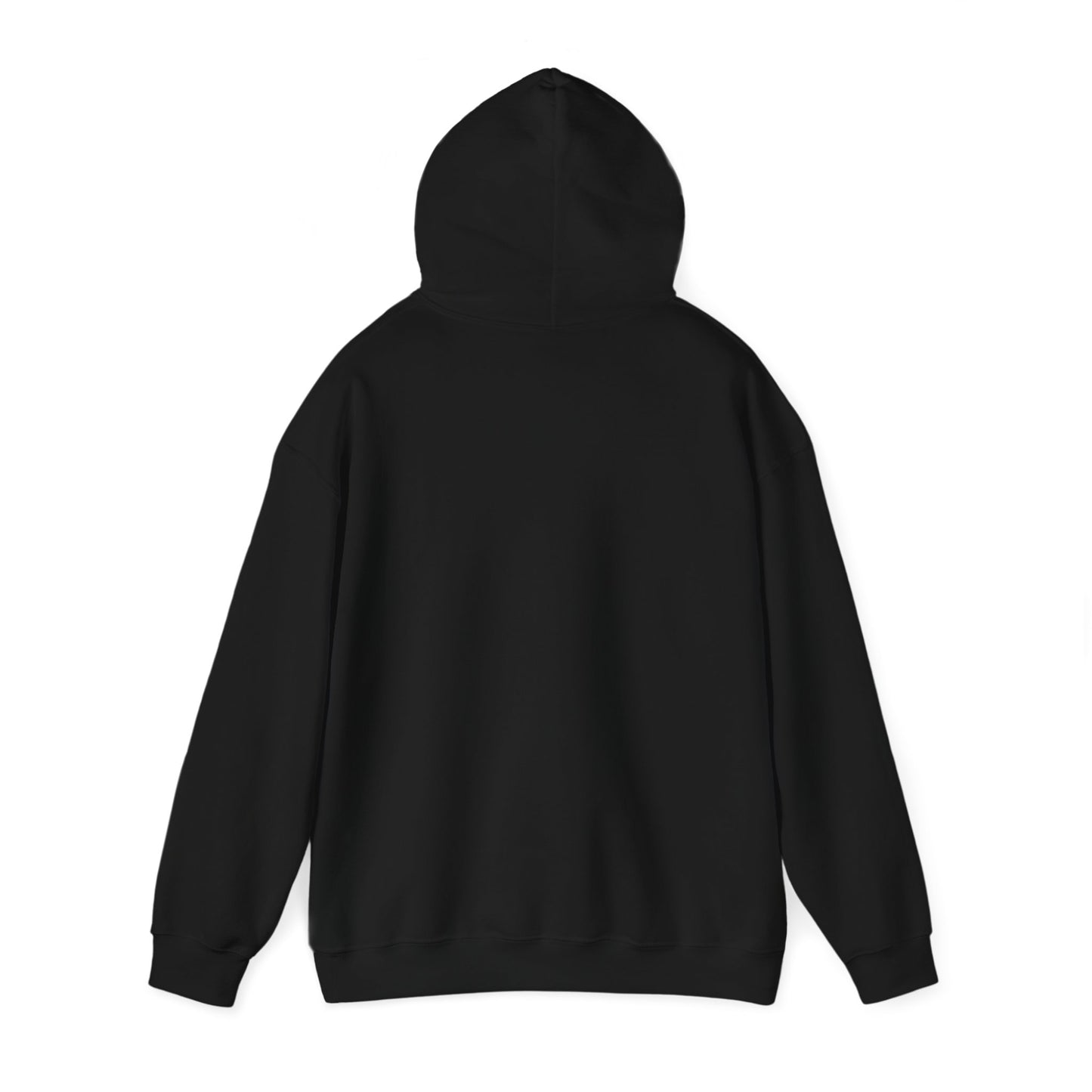 JERMAINE & K.DOT HOODIE | THE BIG TWO | 4 Colors | Heavy Cotton Quality - seen on celebs